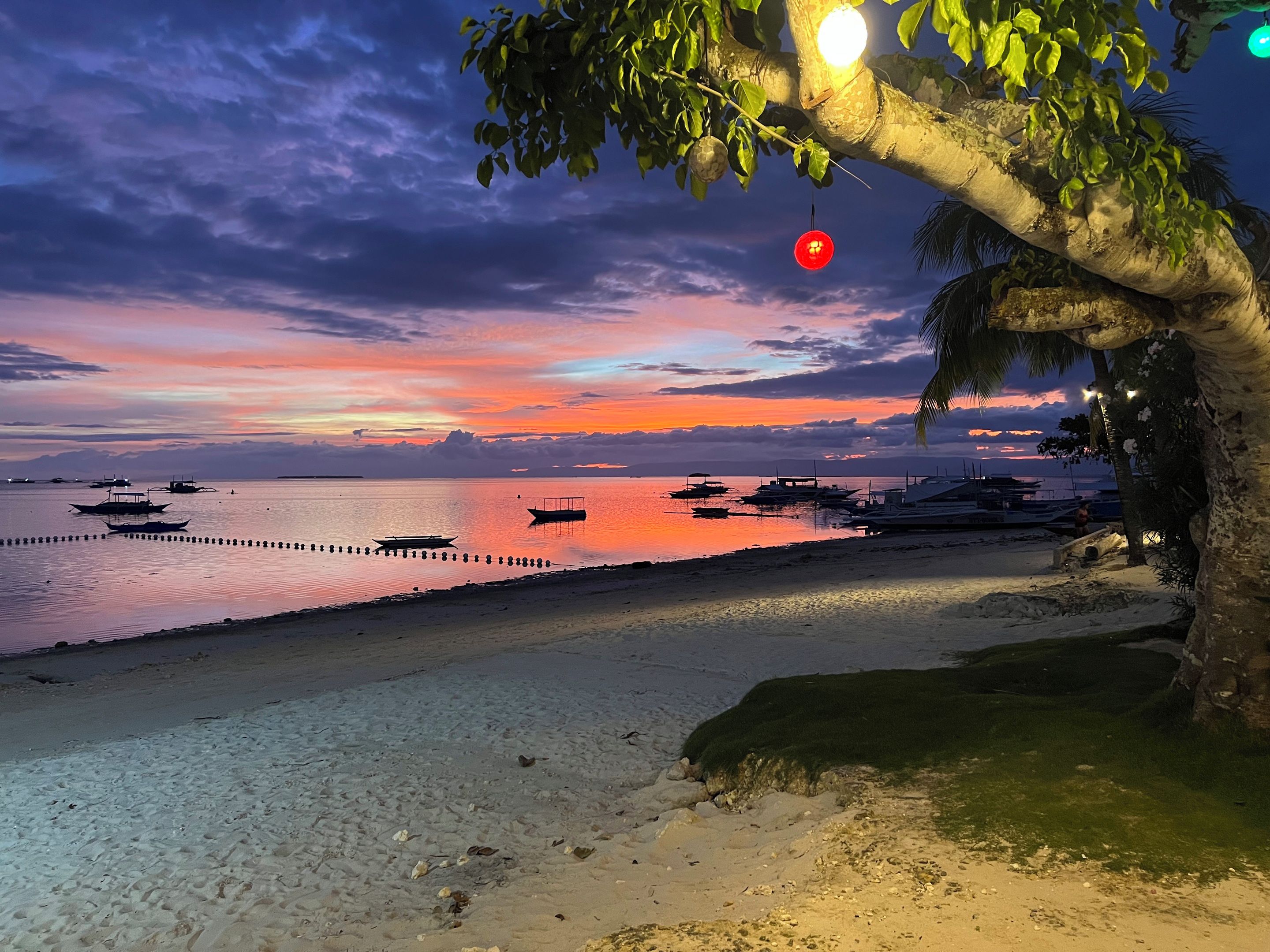 Een strand met boten, een steiger en een boom met lichtjes.