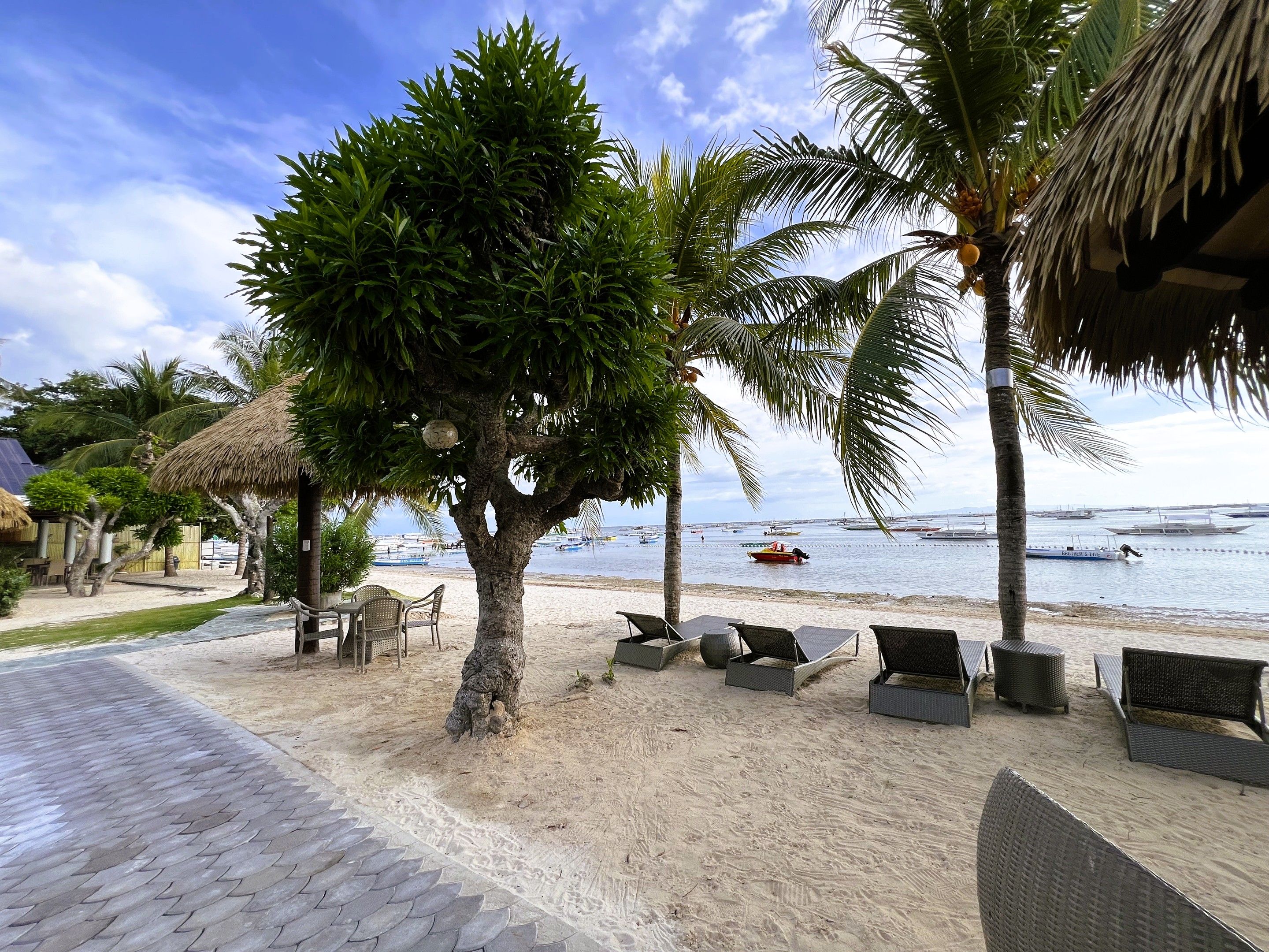 A beachside area with a thatched-roof structure, lounge chairs, and a palm tree.