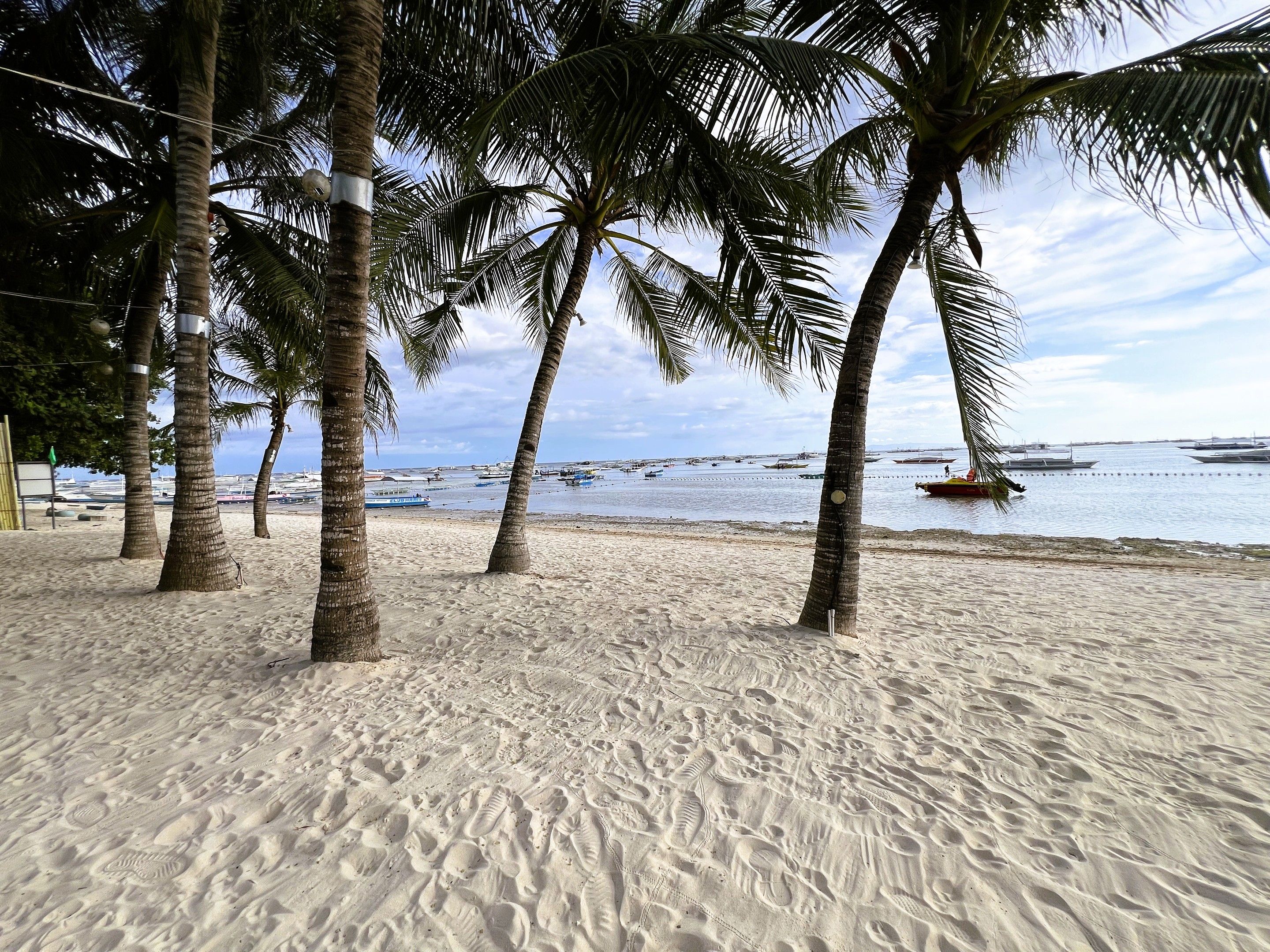 Una playa arenosa con palmeras y barcos en el agua.