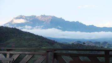 Kinabalu Wing | Extérieur