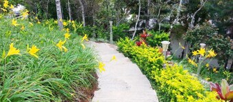 Celyn Resort Kinabalu