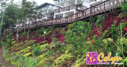 Celyn Resort Kinabalu