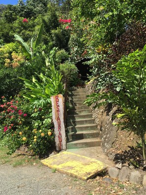 Restaurant - Hotel Samsara (Bahía Ballena)