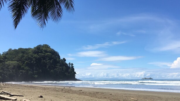 A beach with a forested island, clear skies, and waves. - Hotel Samsara (Bahía Ballena)