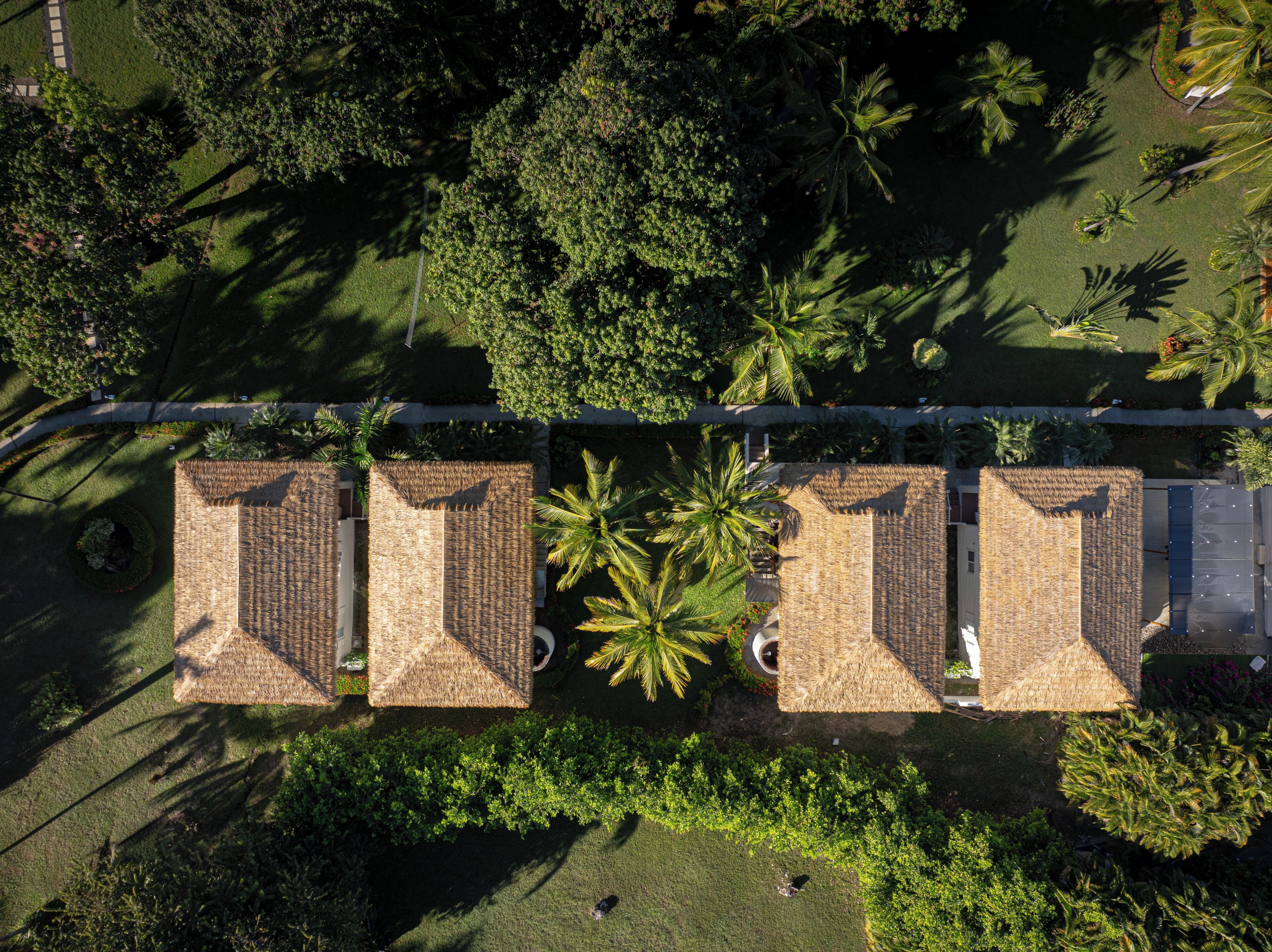 An aerial view of a hotel with four thatched-roof buildings arranged in a row, surrounded by lush greenery and palm trees.