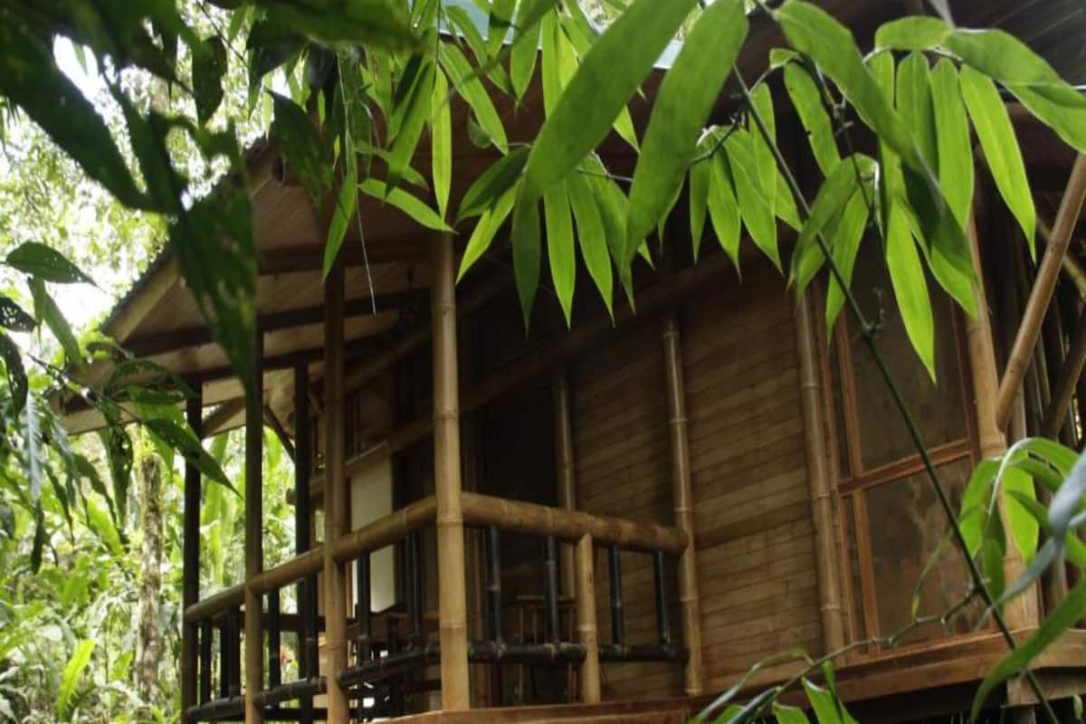 A bamboo structure with a wooden deck and a covered porch.