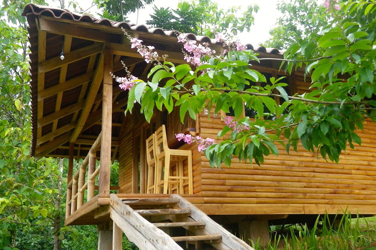 A wooden cabin with a wooden staircase leading to a porch.