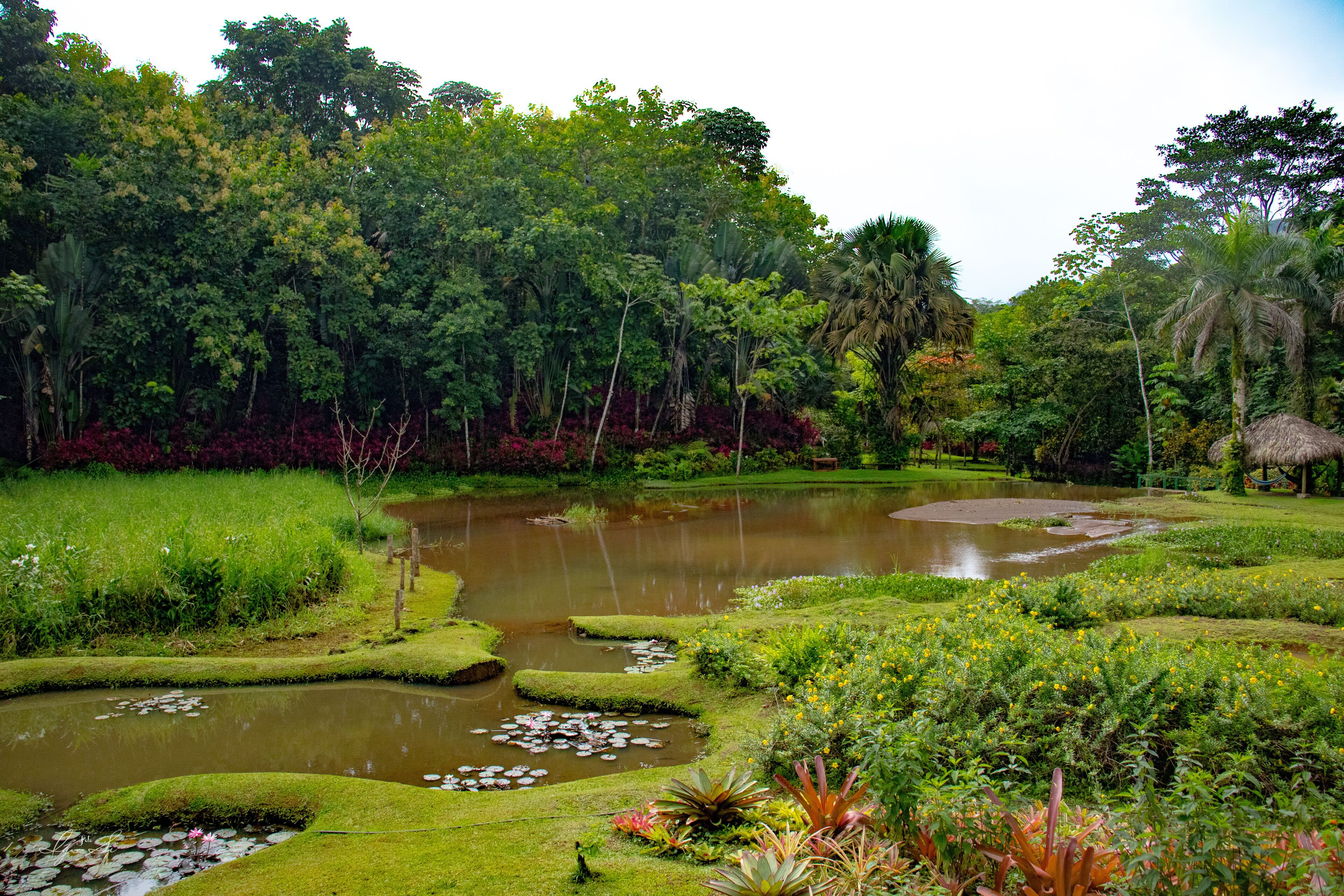 Tasik