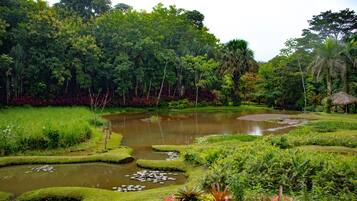 Tasik