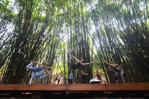 Yoga - Macaw Lodge  (Carara)