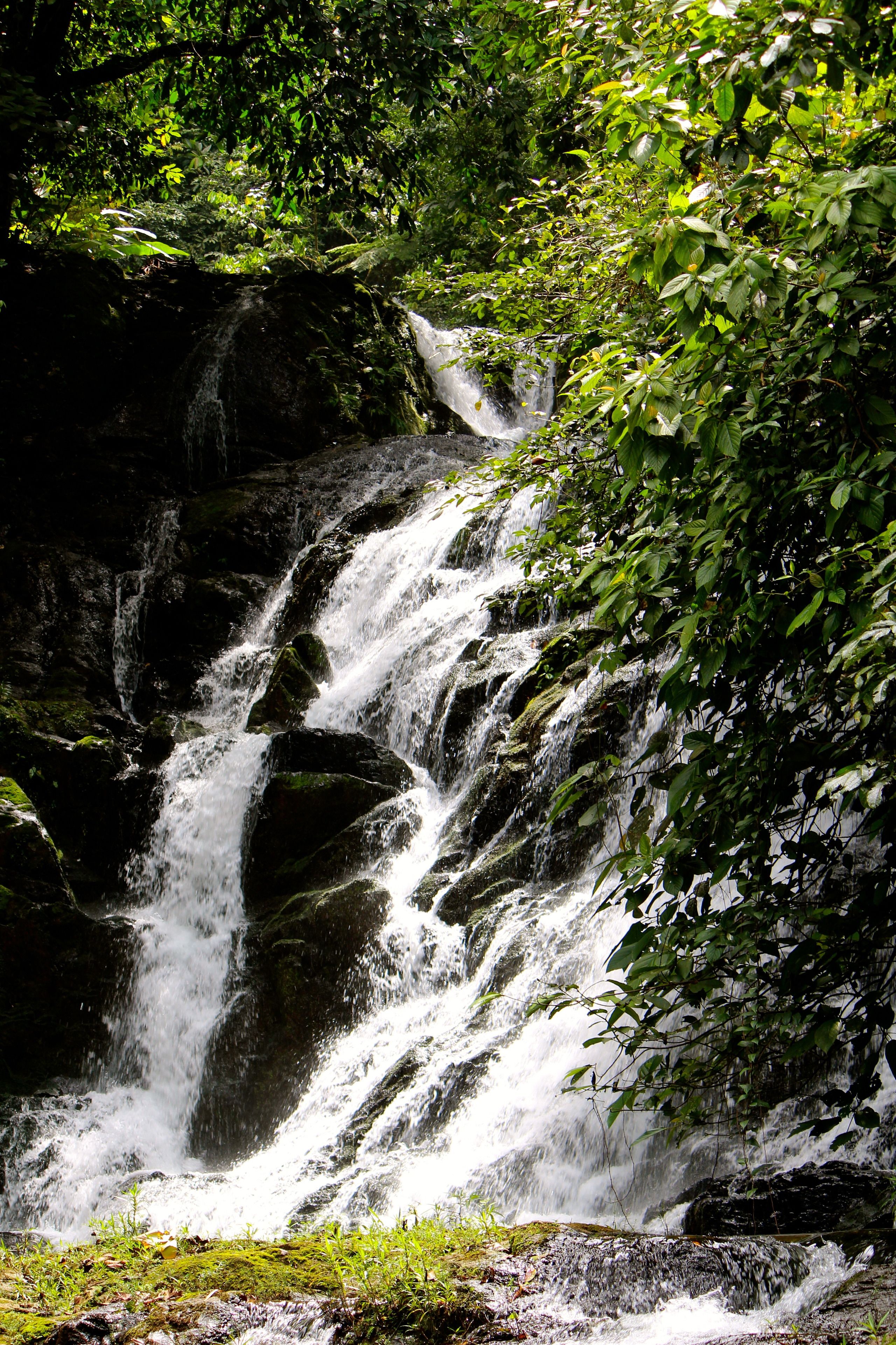 A waterfall cascading over rocks surrounded by dense foliage.