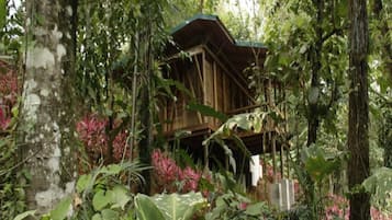 Bangalô (Natural) | Vista para o jardim