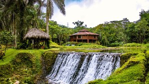 واجهة المنشأة