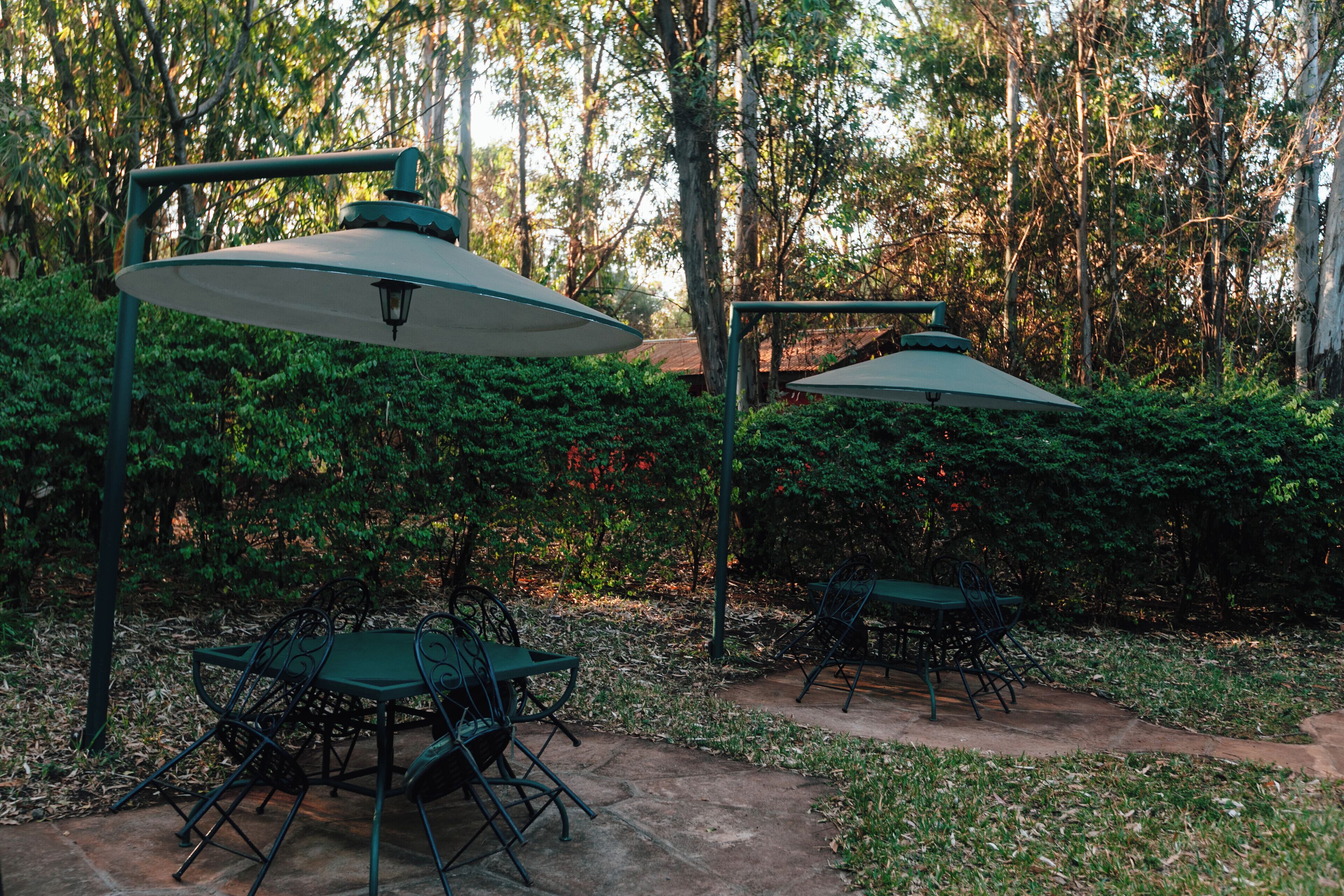 Une terrasse extérieure avec une table et des chaises, entourée de verdure.