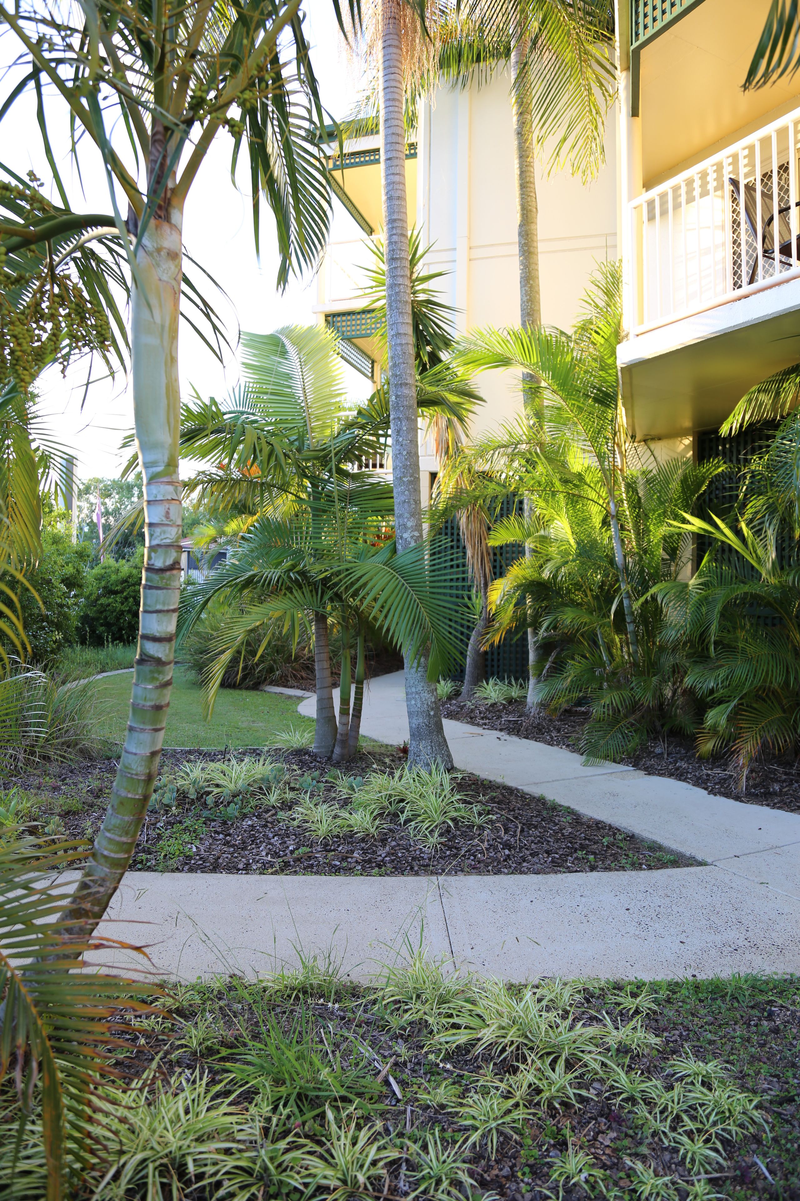 Un sentier bordé de palmiers et de verdure, qui mène à un bâtiment doté d’un balcon.