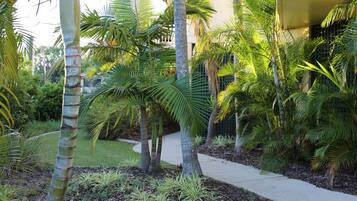 Un sentier bordé de palmiers et de verdure, qui mène à un bâtiment doté d’un balcon.