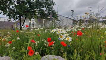 A garden with various flowers and a large tree.