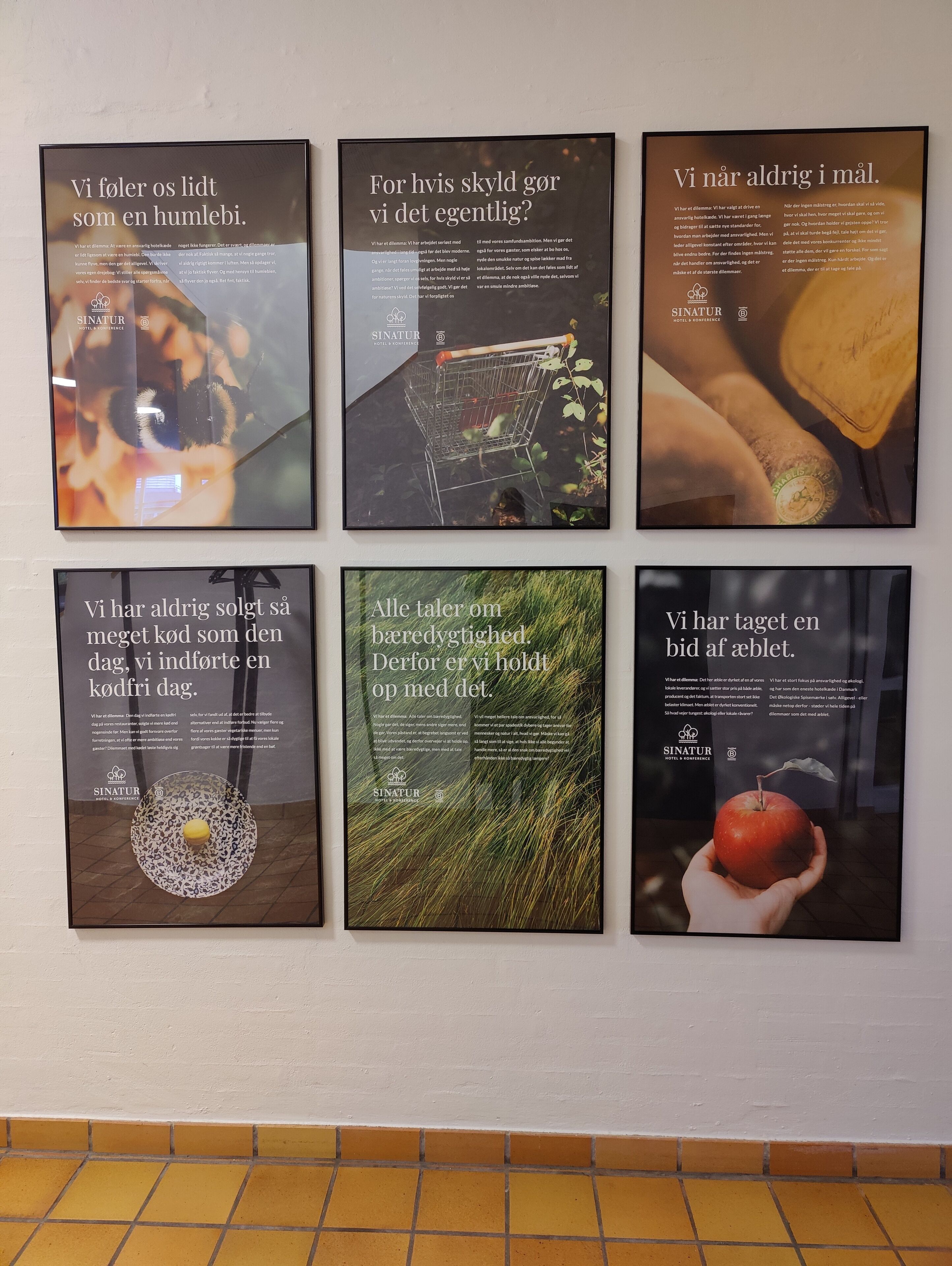 Six framed posters with text and images, likely for advertising or informational purposes.