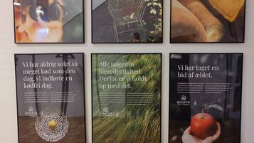 Six framed posters with text and images, likely for advertising or informational purposes.