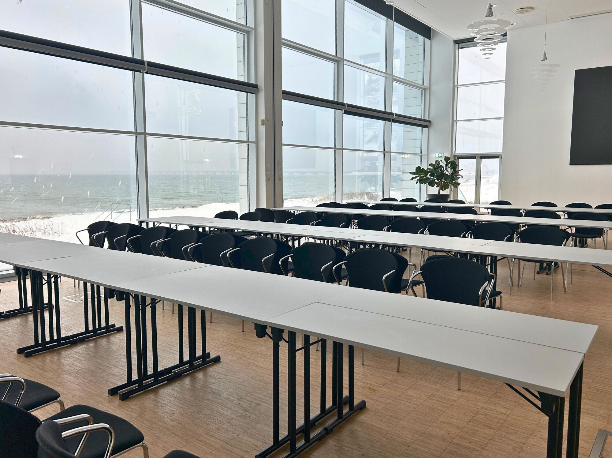 A conference room with large windows, a potted plant, and rows of chairs.