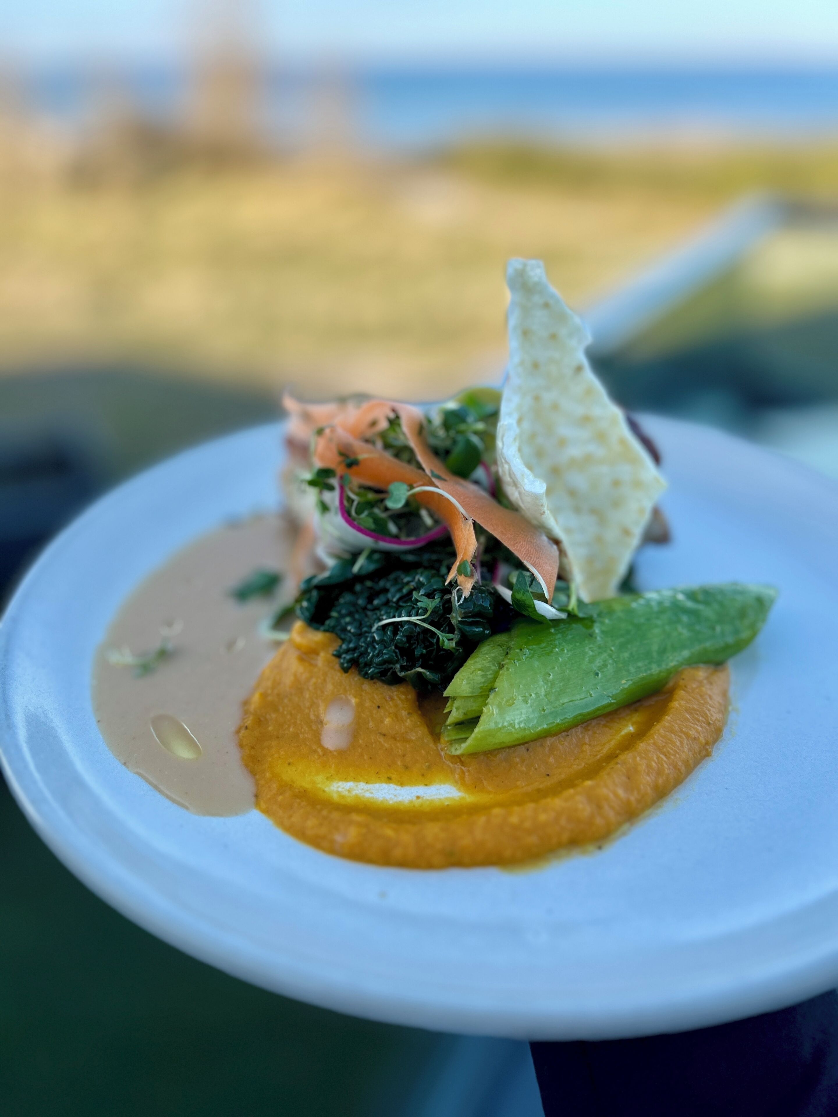 A plate of food with a variety of vegetables and a dollop of sauce.
