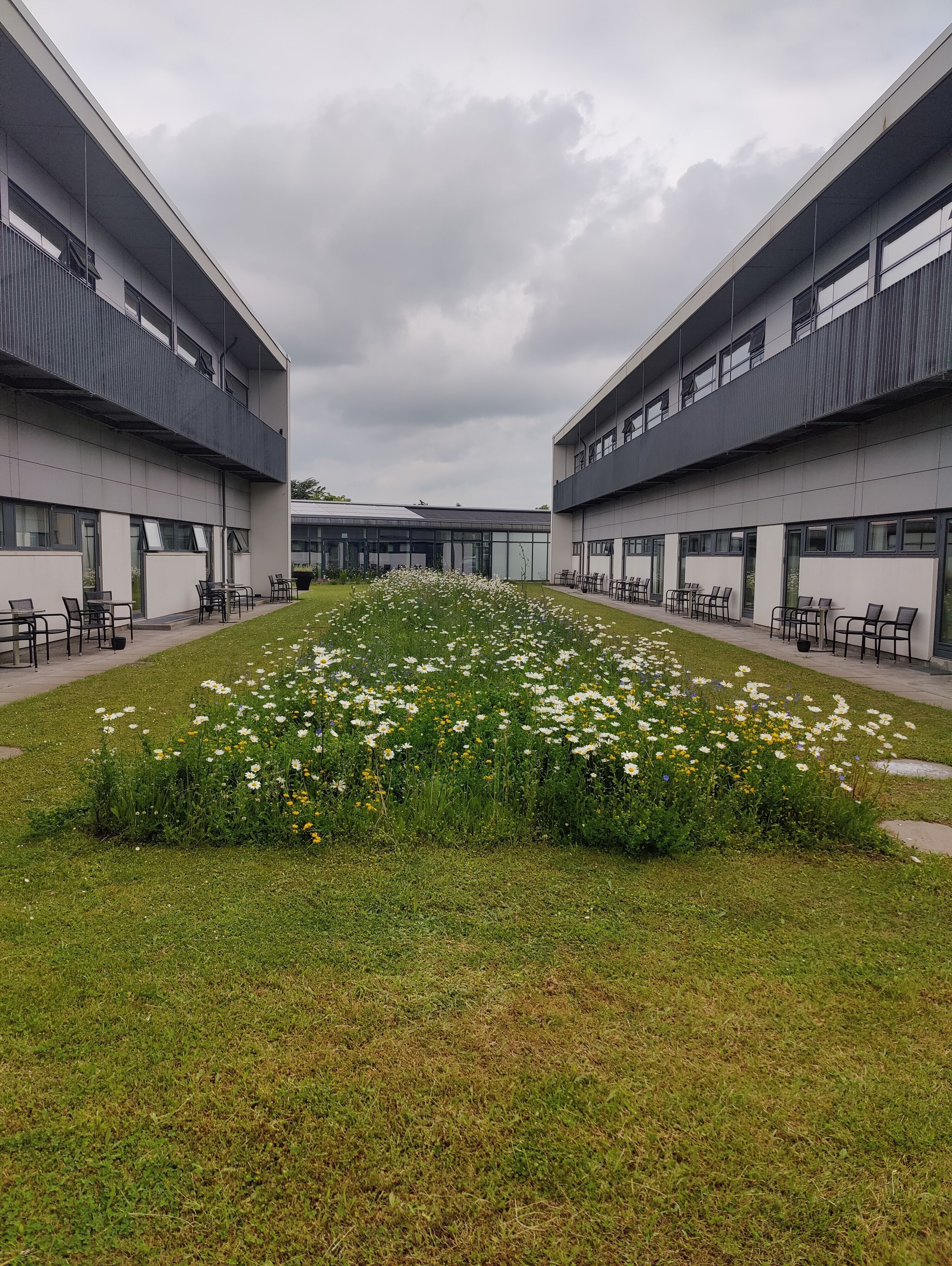 Un edificio moderno con un cortile che presenta un giardino fiorito e un'area con posti a sedere all'aperto.