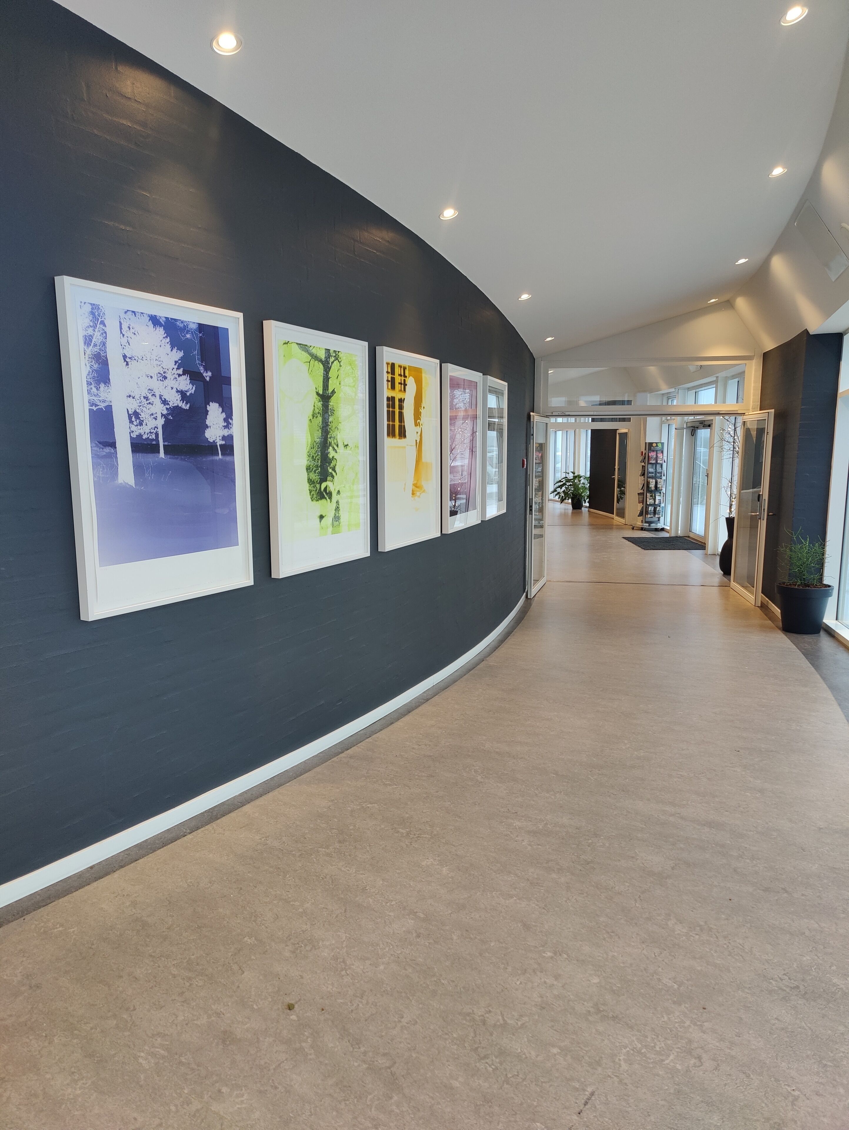 A hallway with a curved ceiling, recessed lighting, and a series of framed artworks on the wall.