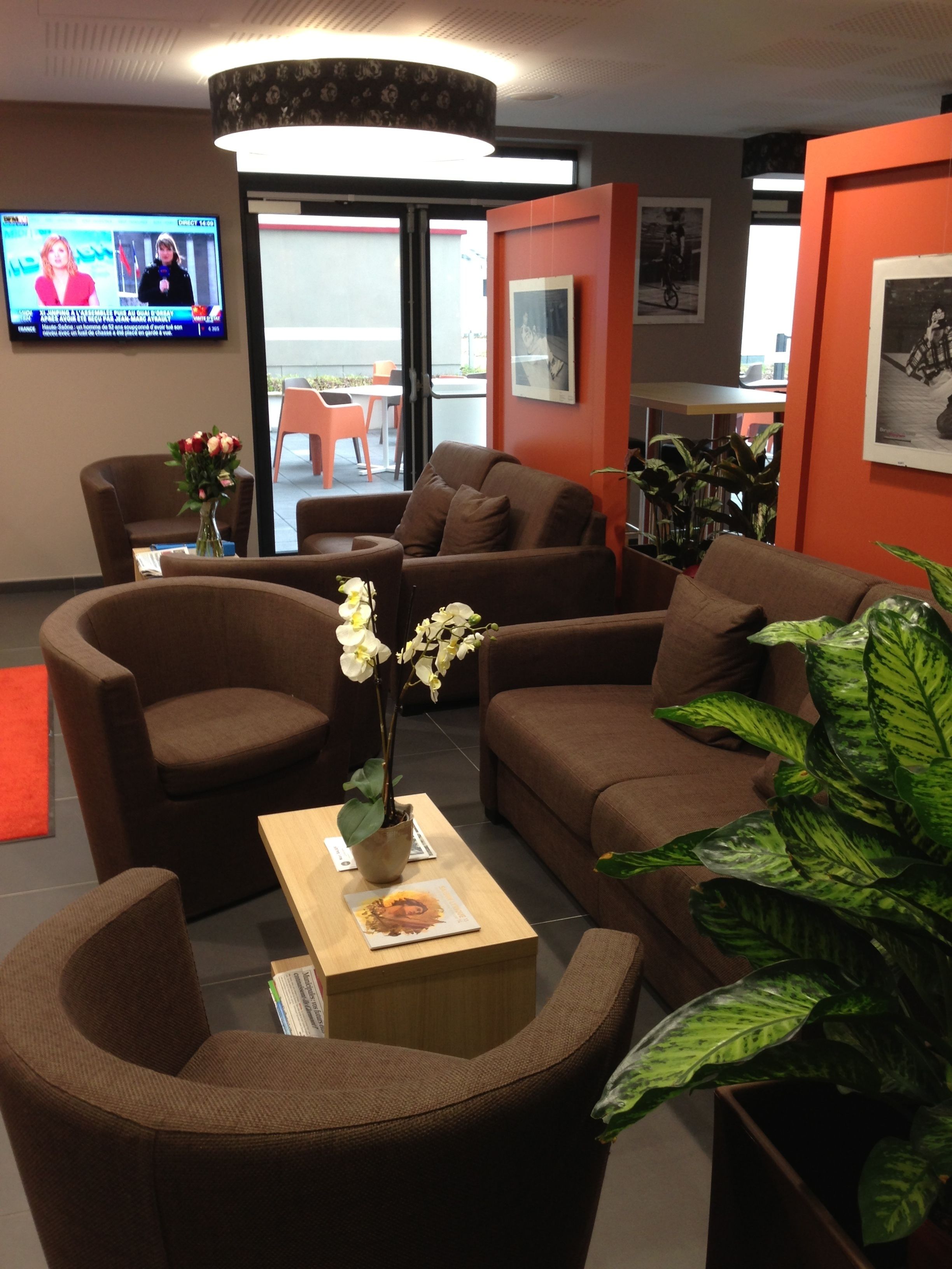 A modern living room with brown sofas, a wooden coffee table, and a potted plant.