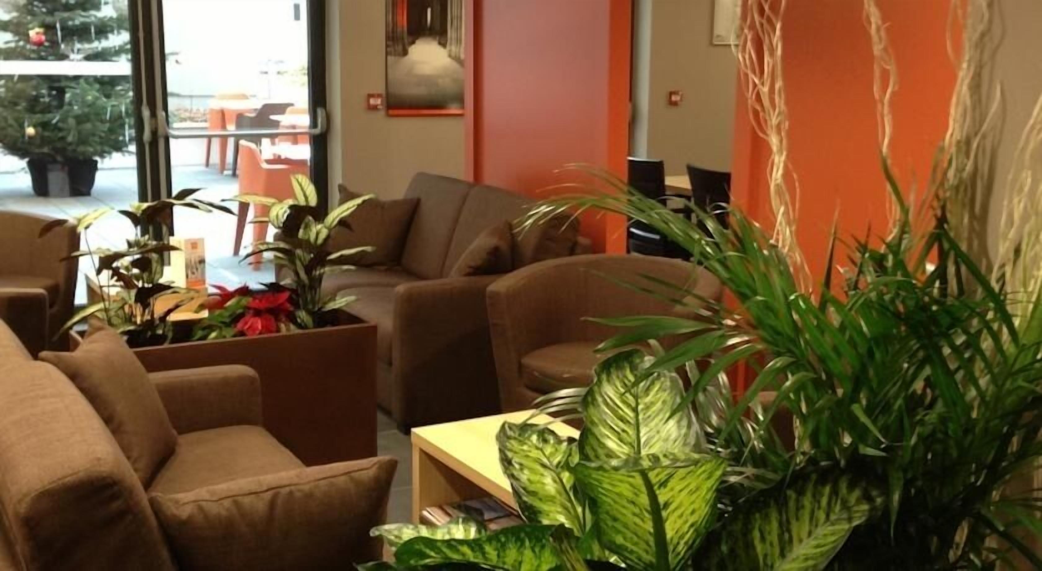 Un espace de détente moderne avec des canapés marron, une table basse en bois et diverses plantes vertes.
