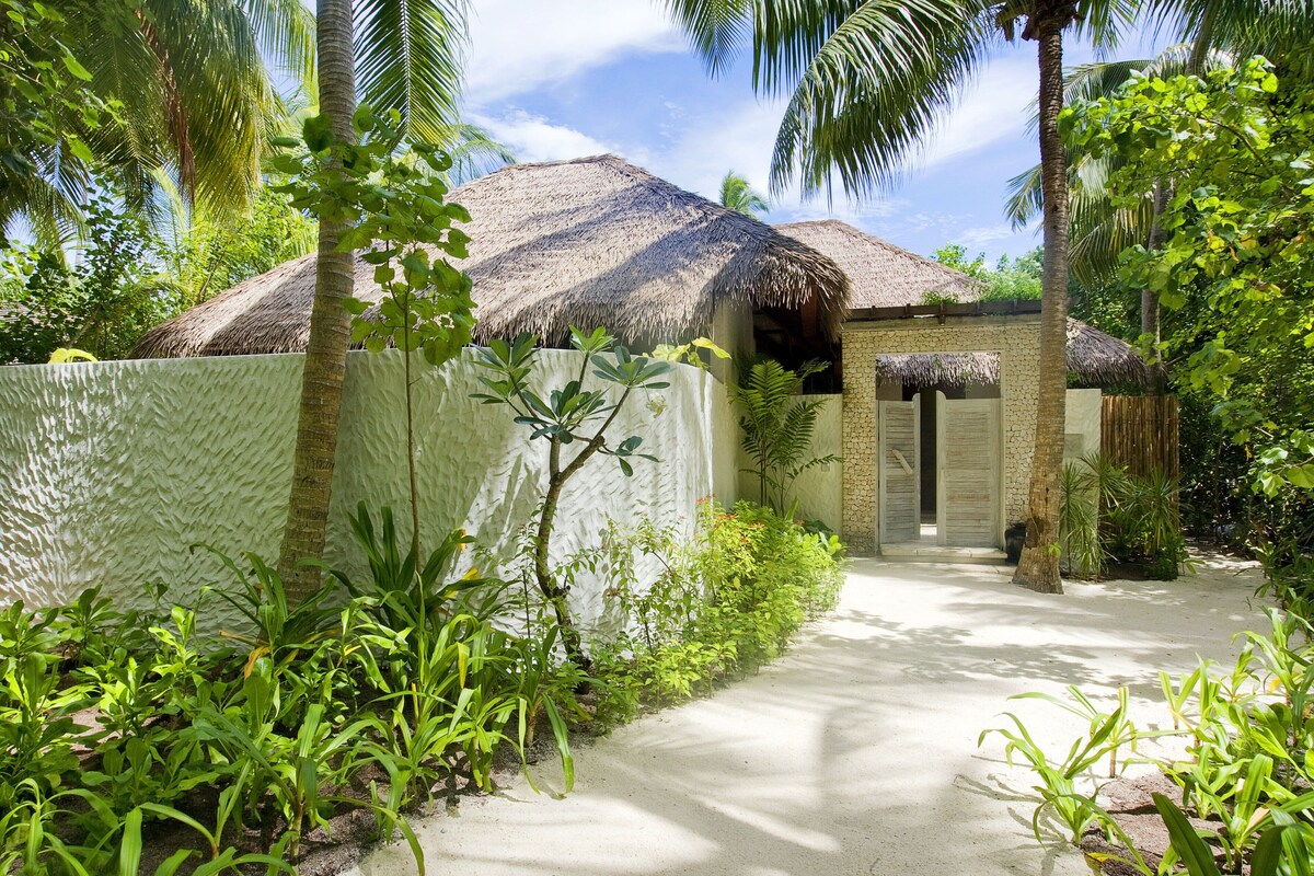 A pathway leading to a thatched-roof building surrounded by lush greenery and palm trees.