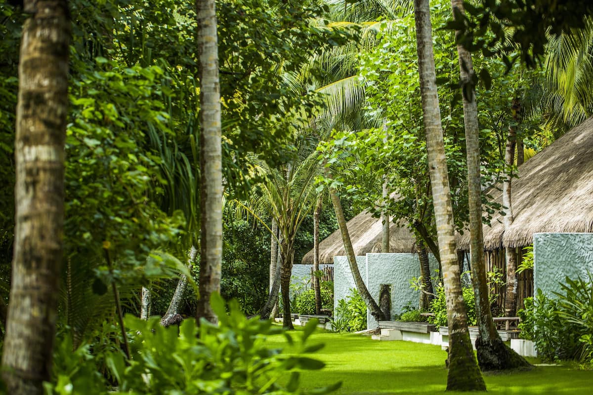 Un exuberante jardín con palmeras y cabañas de techo de paja.