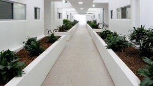 A long, narrow hallway with white walls and tiled flooring, flanked by planter boxes with green plants. - Monterey Moranbah (Moranbah)