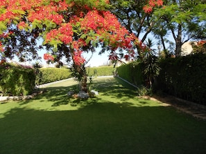 A well-maintained garden with a central tree bearing red flowers, surrounded by neatly trimmed hedges and a manicured lawn. - Marina Village North Coast (Al-Hammam)