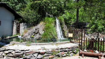 Una cascada en un entorno natural, con un sendero de piedra que conduce a un pequeño estanque.
