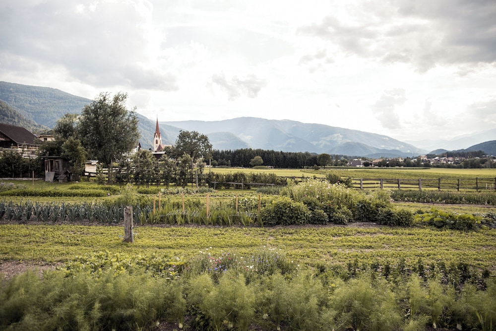 Hotel Petrus by null