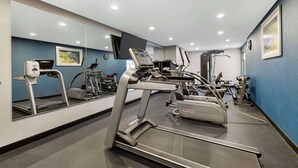 Une salle de sport moderne équipée de machines de cardio, dotée d’un mur avec des miroirs et d’un mur d’accent bleu.
