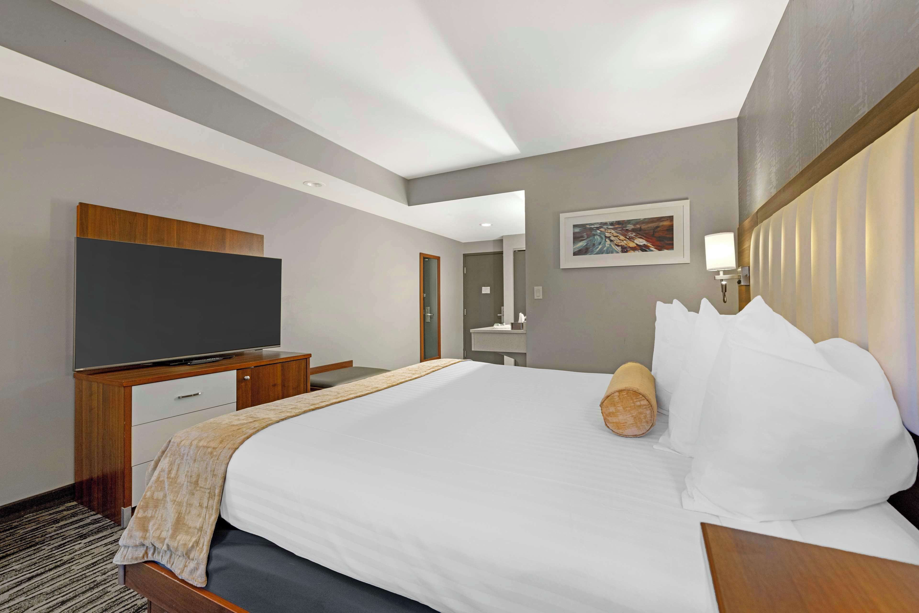 standard room, 1 king bed, non smoking (walk-in shower) | desk, laptop workspace, blackout curtains, iron/ironing board