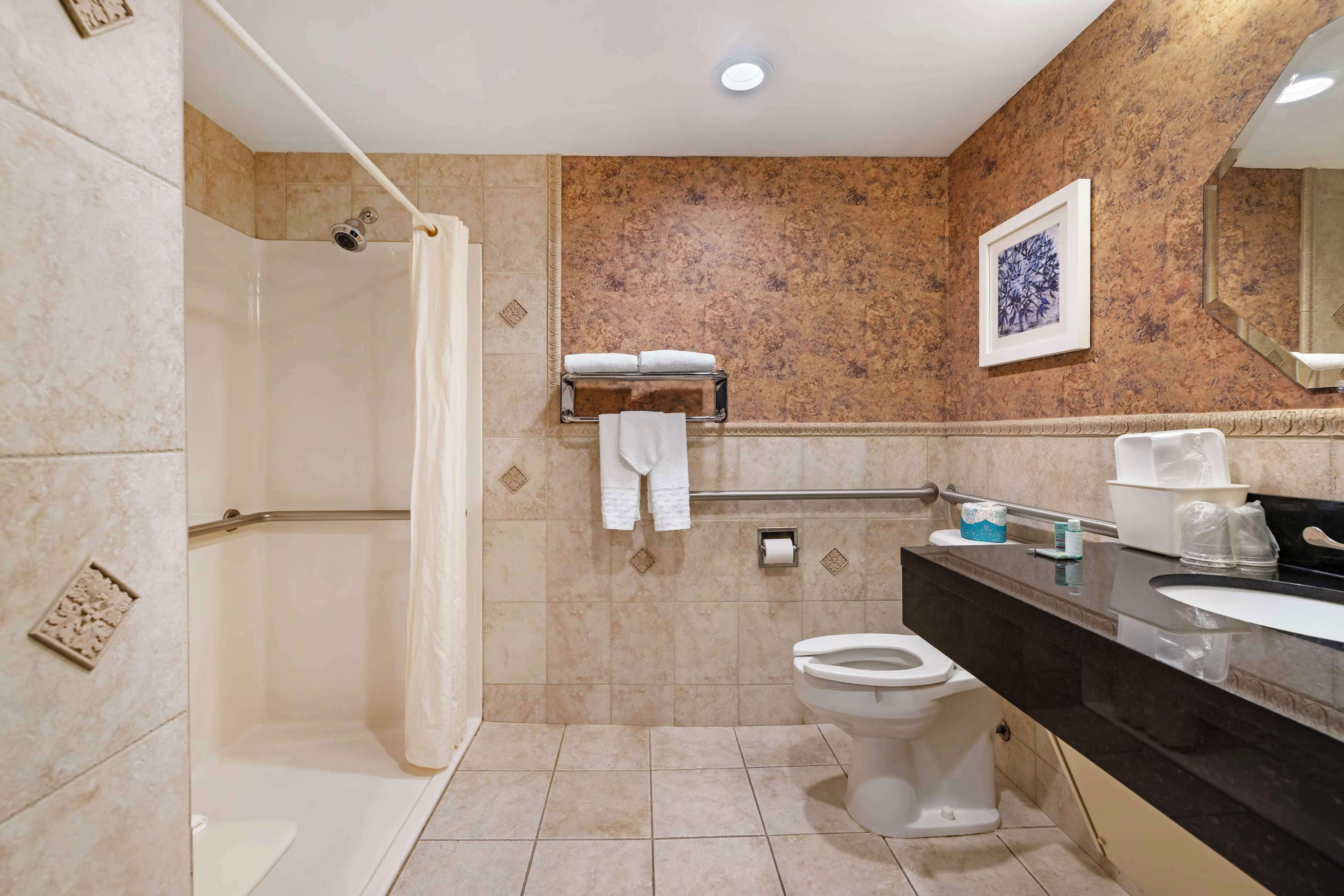 standard room, 1 king bed, accessible, non smoking | bathroom | shower, free toiletries, hair dryer, towels