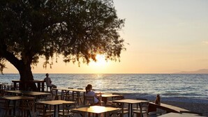 Un área de estar al aire libre con mesas y sillas bajo un gran árbol, con vista a un cuerpo de agua durante el atardecer.