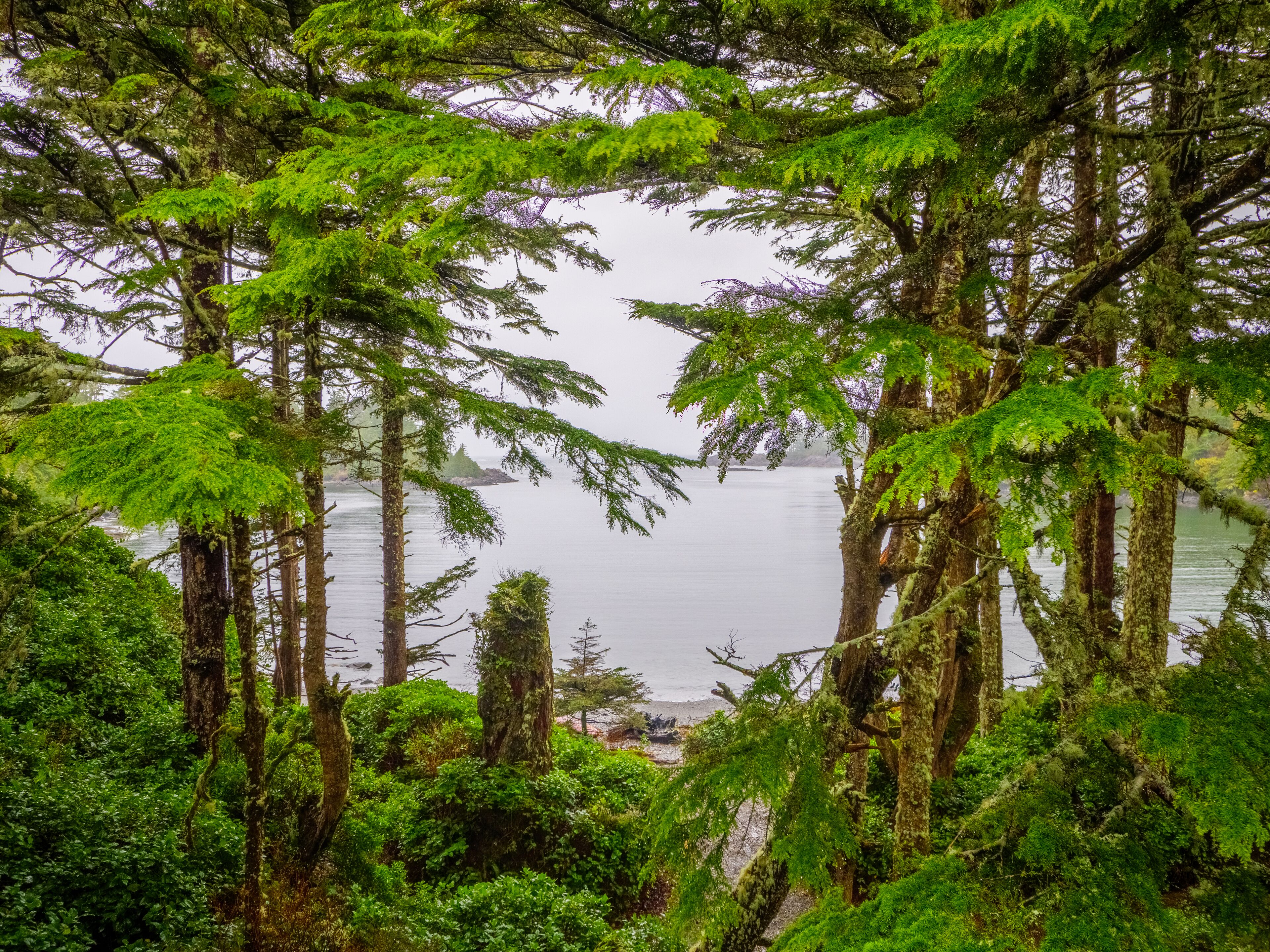 cabin, oceanfront (ocean pearl)  | water view