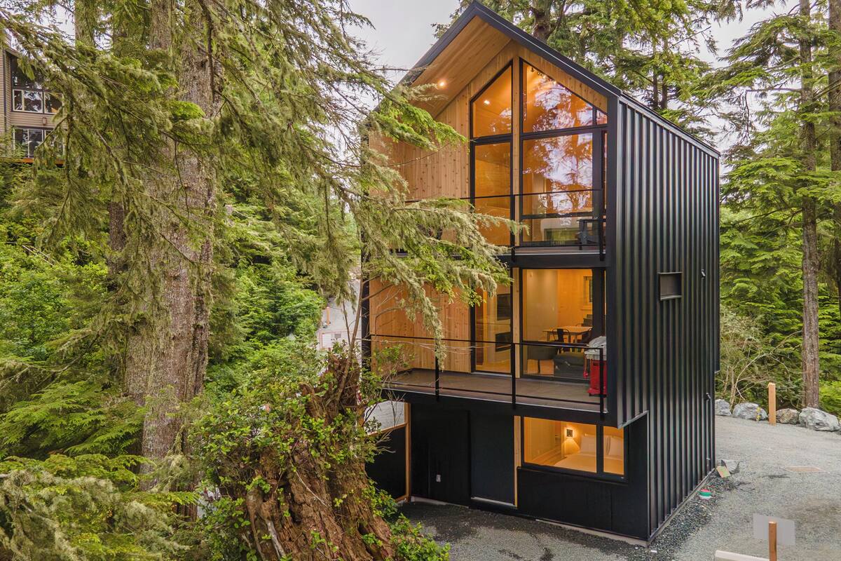 A modern cabin with a large glass window, surrounded by dense forest.