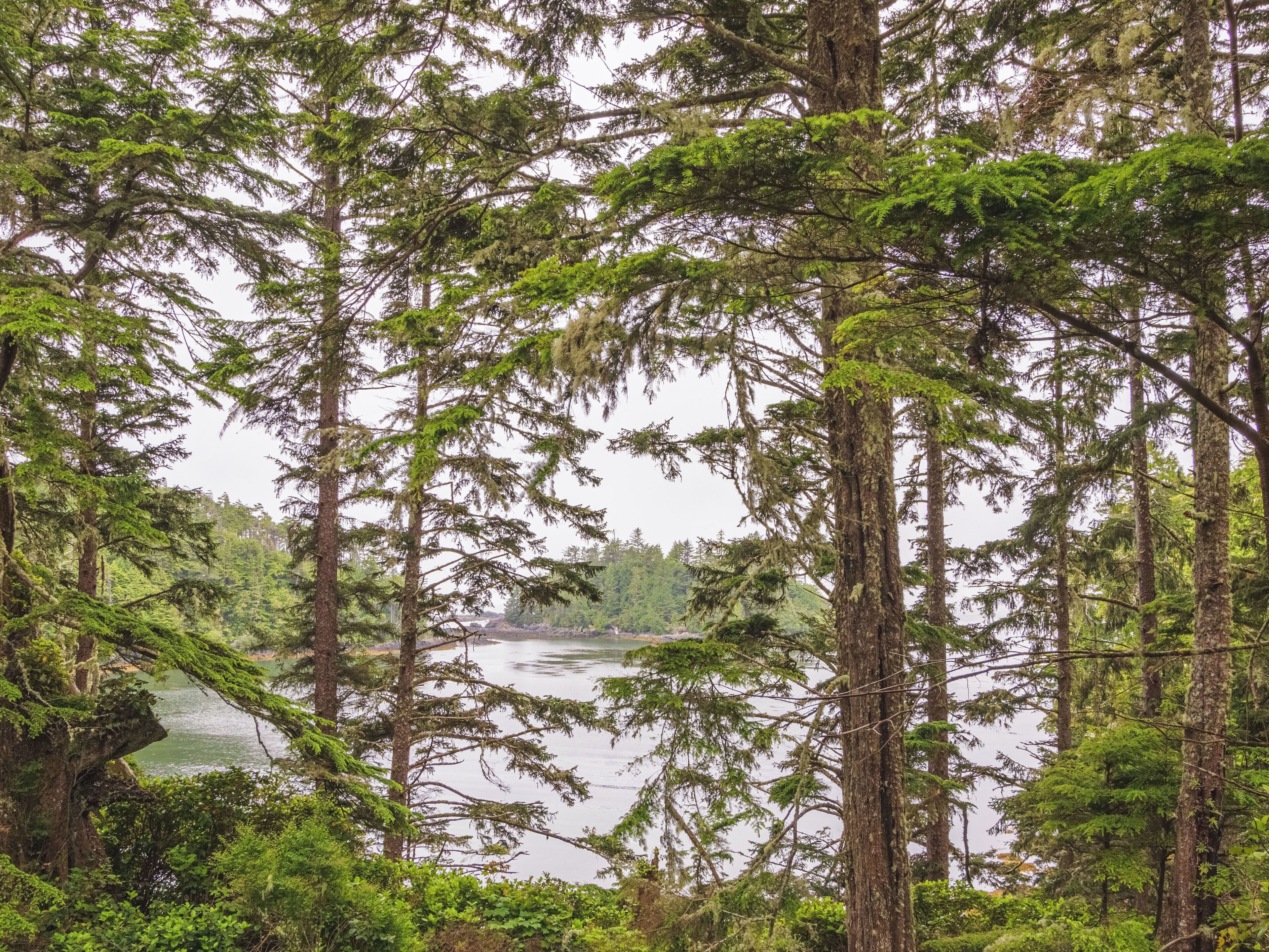 signature cabin, oceanfront | beach/ocean view