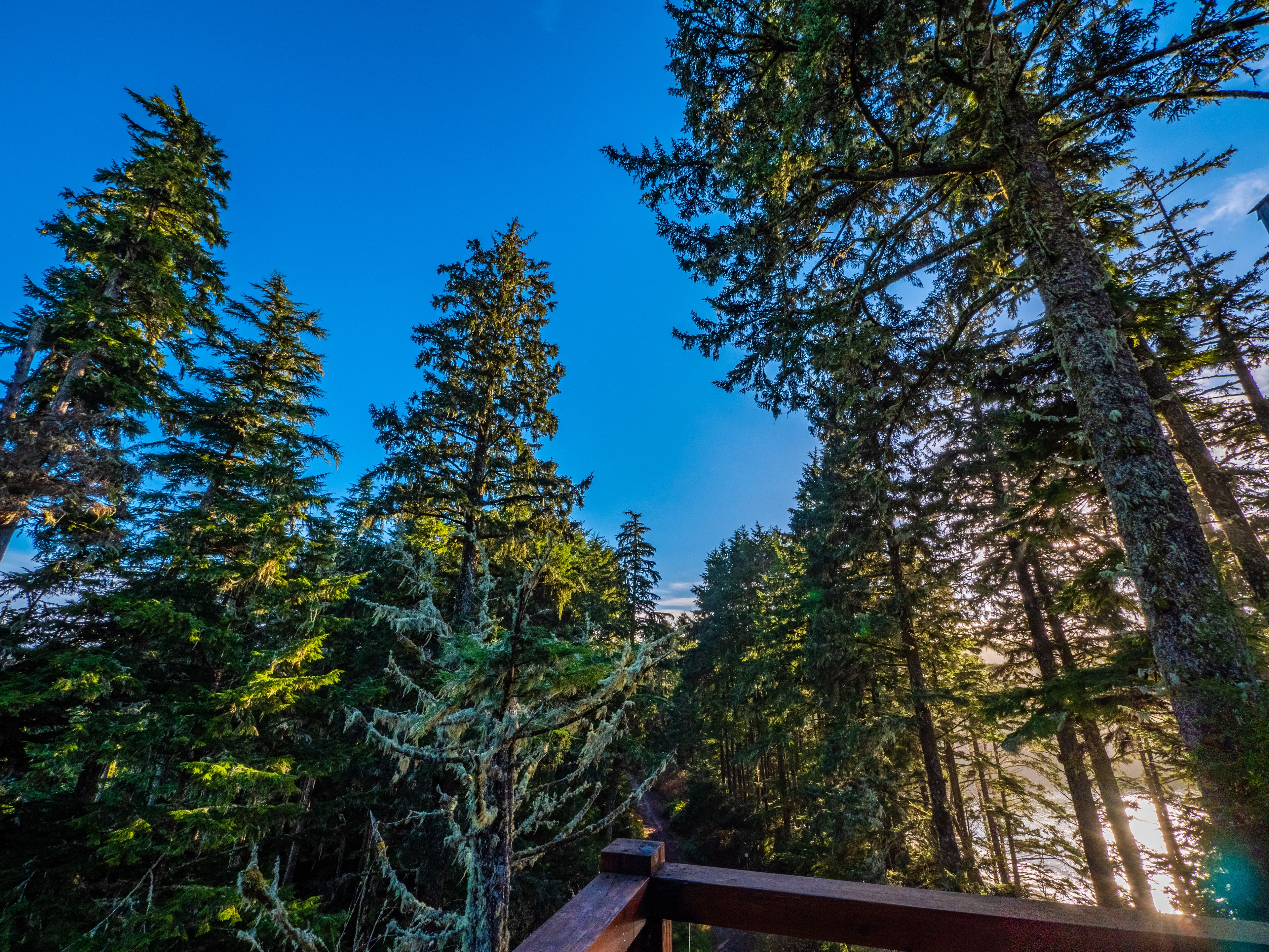 the lodge suites (no kids or pets) | terrace/patio