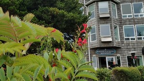 A building with a clock tower, a sign for 'Maggie's on the Prom Restaurant', and a garden with plants and a bench.