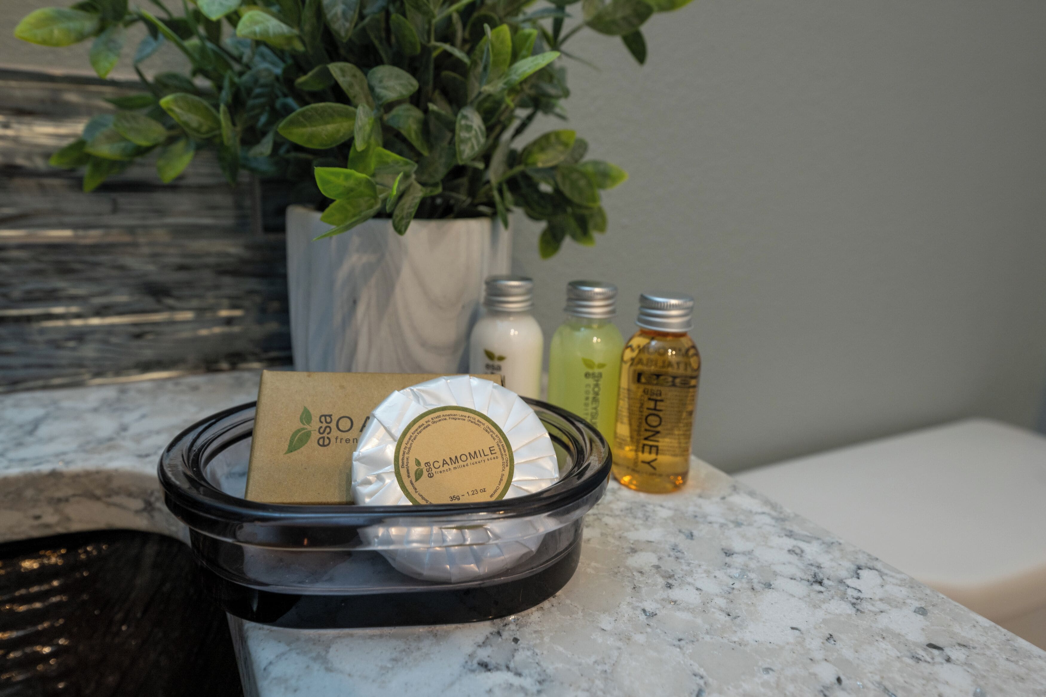 A bathroom counter with a black container holding a bar of soap, a potted plant, and two bottles of lotion.