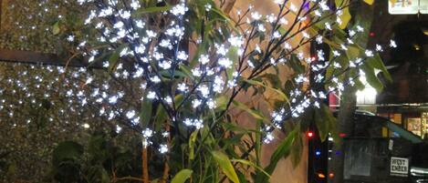 A potted plant with white lights, a red ornament, and a 'WEST ENDER' sign in the background.
