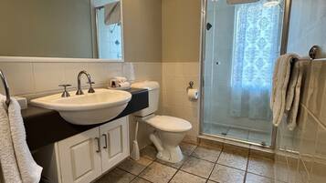 A bathroom with a sink, toilet, and shower area.