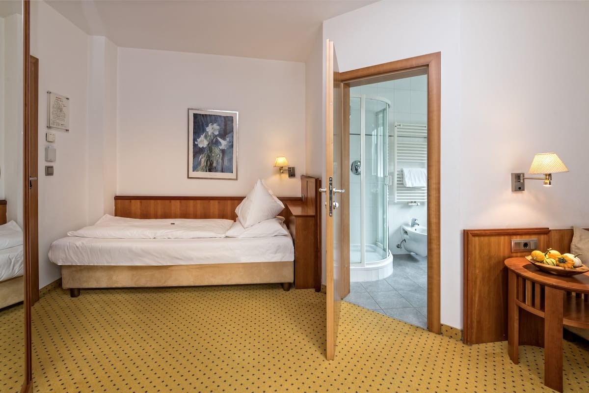 standard single room | 1 bedroom, hypo-allergenic bedding, in-room safe, desk