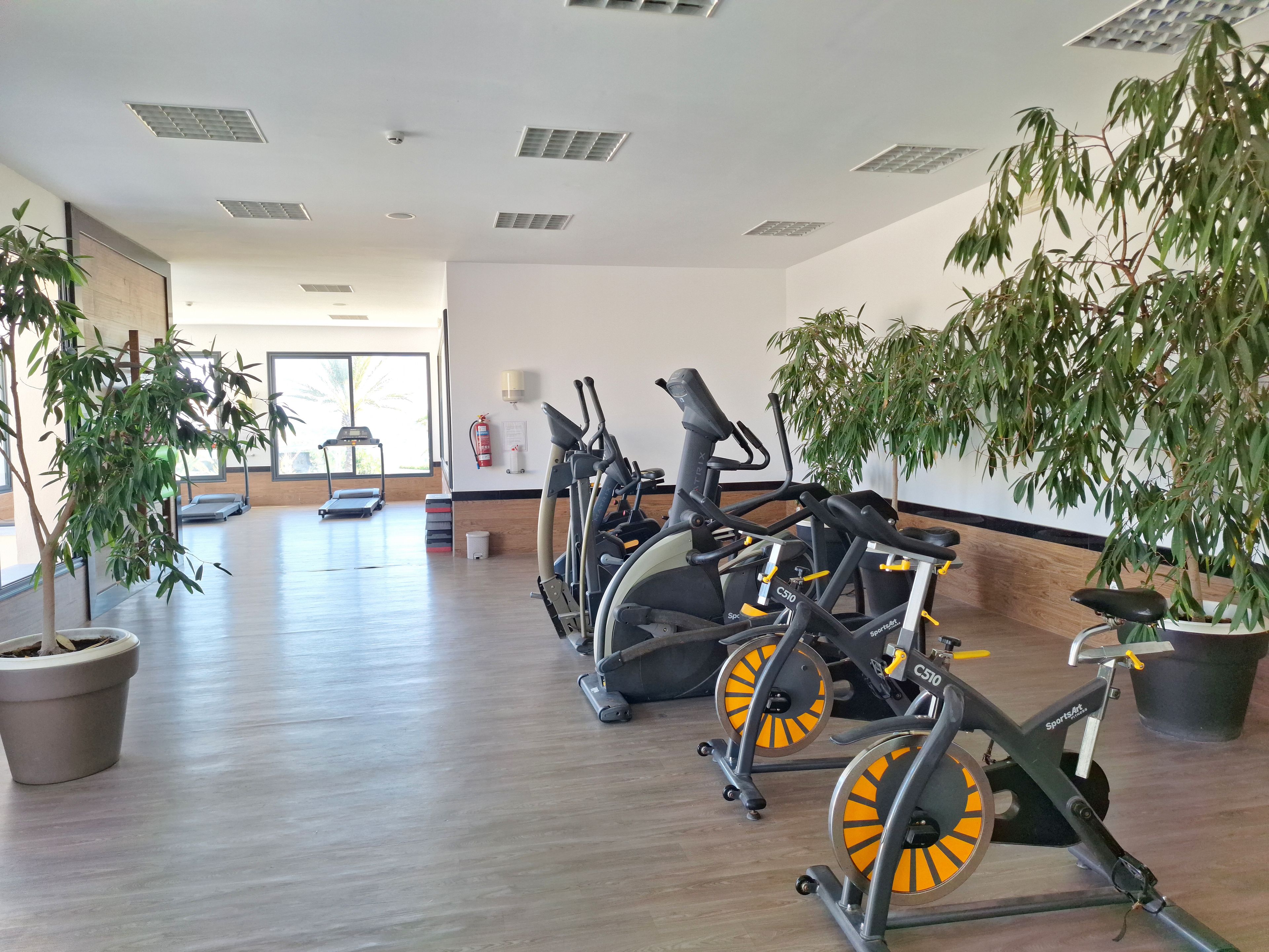 A gym with stationary bikes, treadmills, and exercise mats.
