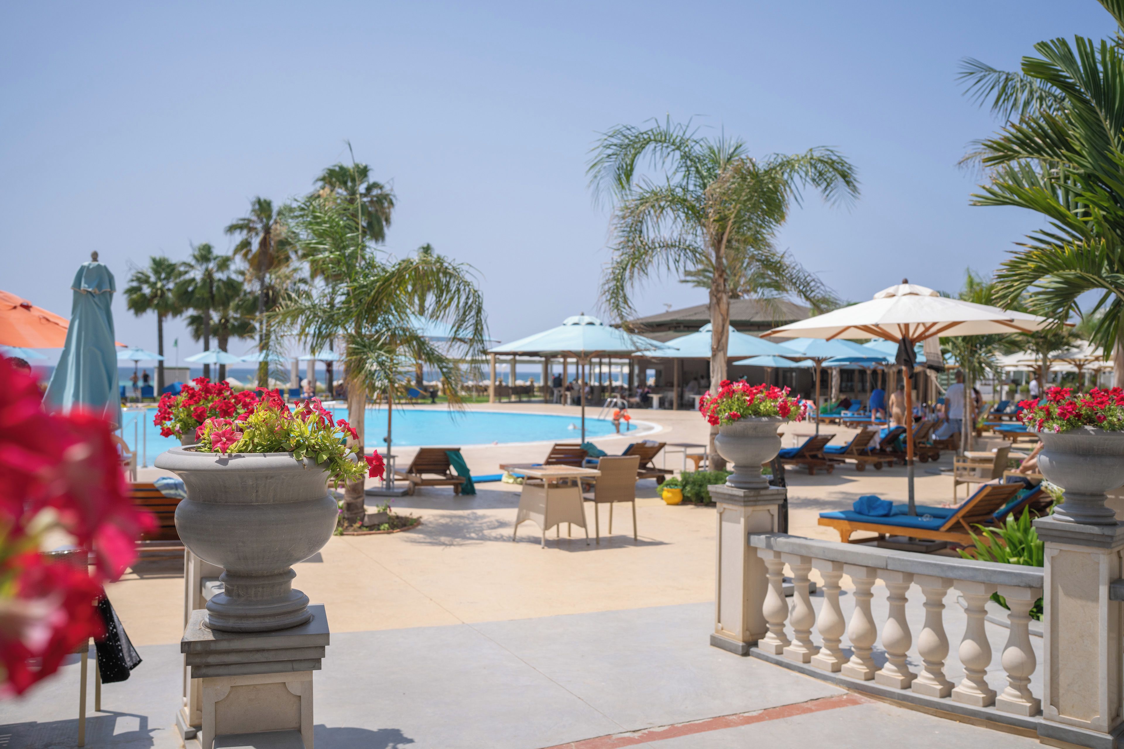 A poolside area with lounge chairs, umbrellas, and flower planters.